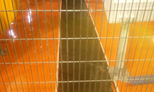 WhatsApp Image 2019-08-16 at 4.27.08 PM (1)