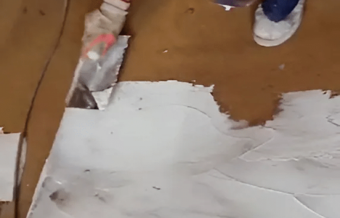 snapedit_1727173242310